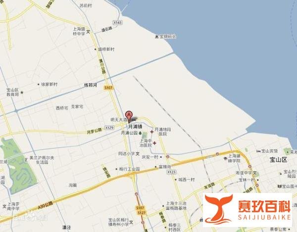 上海战役最惨烈一仗，主攻团夜宿“坟地”，天亮陷入敌人包围
