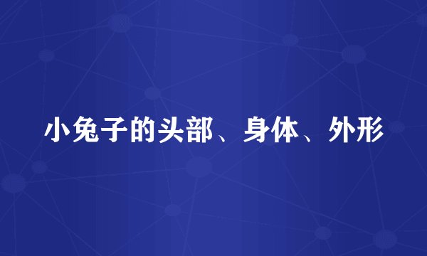 小兔子的头部、身体、外形