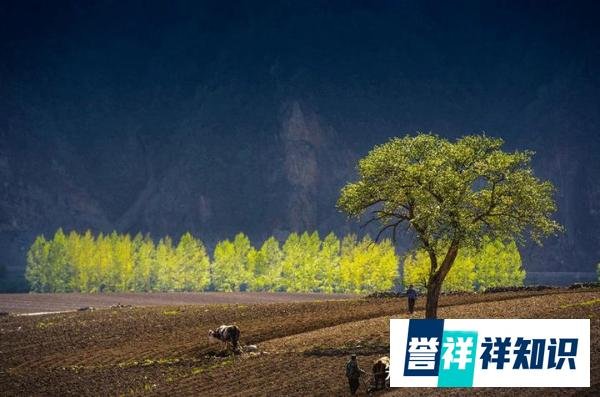 2022年二月二龙抬头,今年的好兆头!