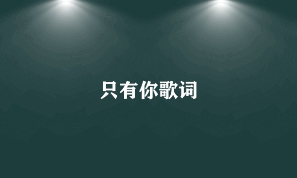 只有你歌词