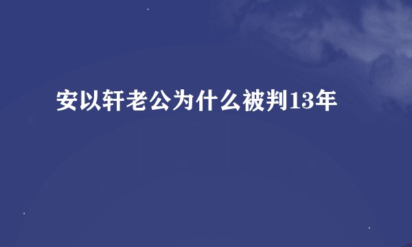 安以轩老公为什么被判13年