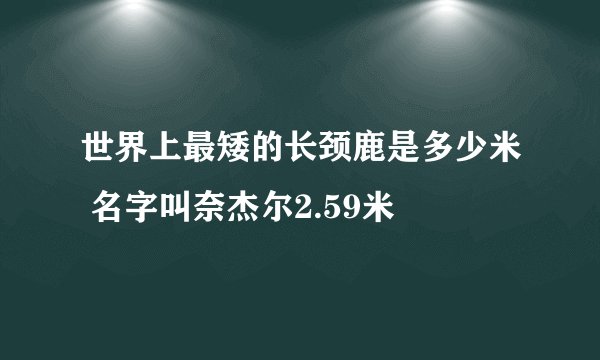 世界上最矮的长颈鹿是多少米 名字叫奈杰尔2.59米