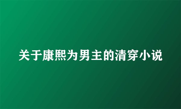 关于康熙为男主的清穿小说