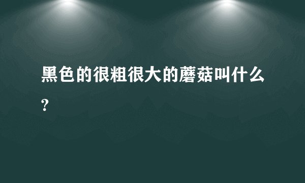黑色的很粗很大的蘑菇叫什么?