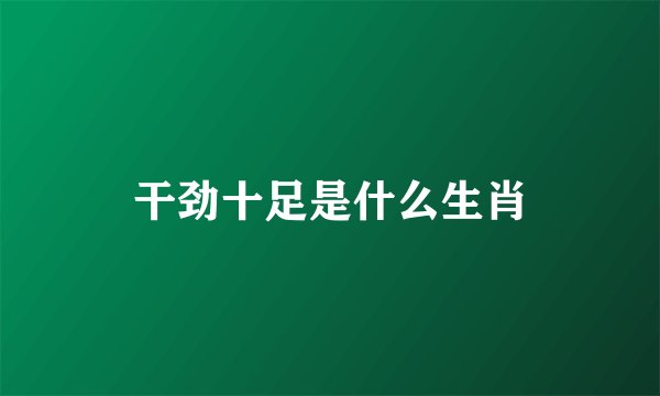 干劲十足是什么生肖