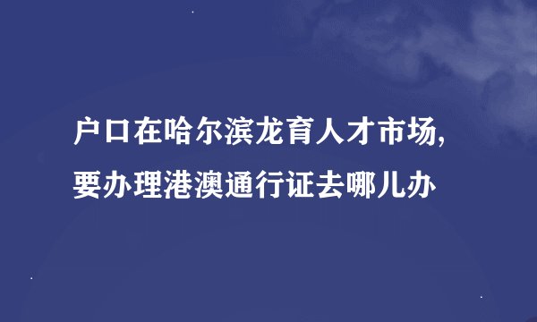 户口在哈尔滨龙育人才市场,要办理港澳通行证去哪儿办