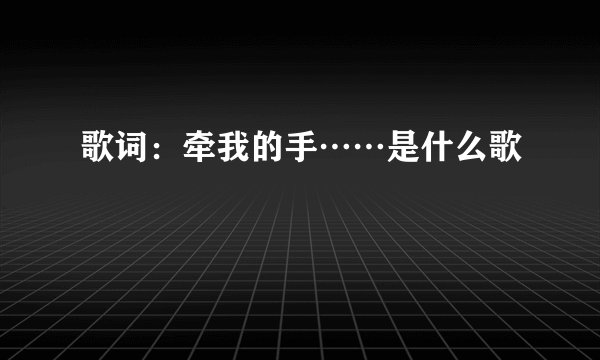 歌词：牵我的手……是什么歌
