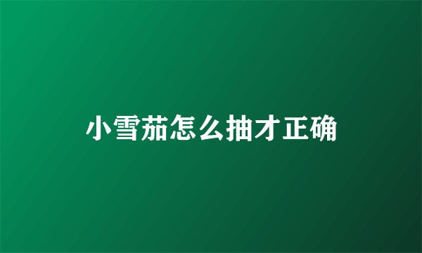 小雪茄怎么抽才正确