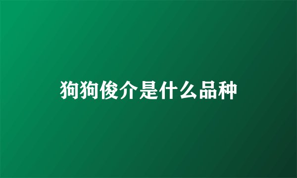 狗狗俊介是什么品种
