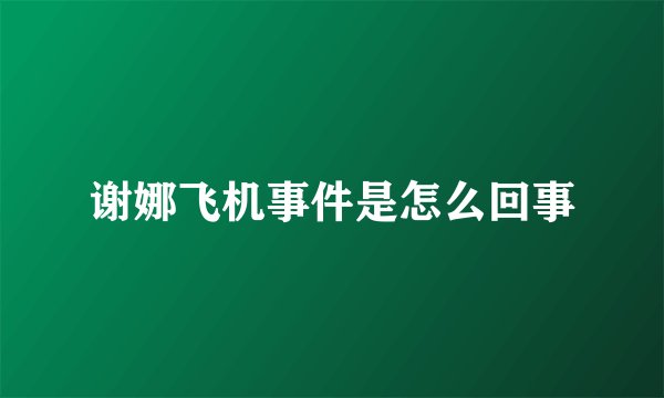 谢娜飞机事件是怎么回事