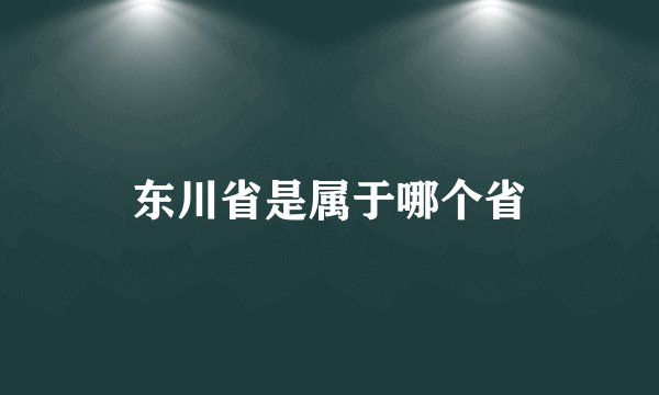 东川省是属于哪个省