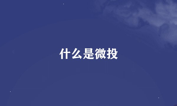 什么是微投