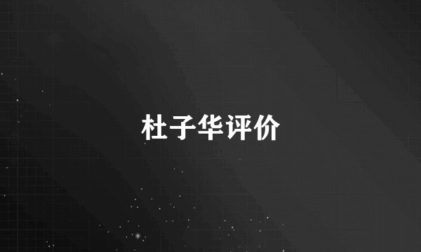 杜子华评价