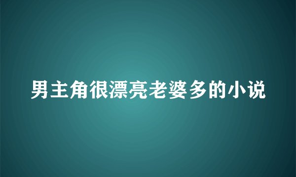 男主角很漂亮老婆多的小说