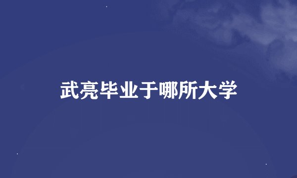 武亮毕业于哪所大学