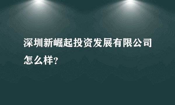 深圳新崛起投资发展有限公司怎么样？
