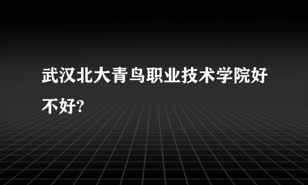 武汉北大青鸟职业技术学院好不好?