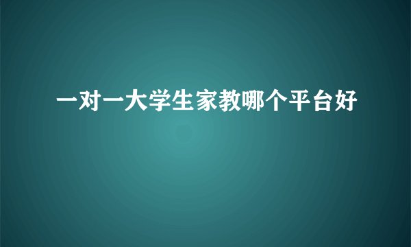 一对一大学生家教哪个平台好