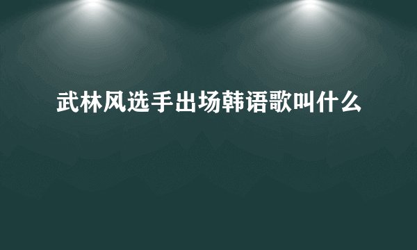 武林风选手出场韩语歌叫什么