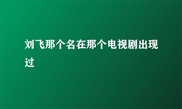 刘飞那个名在那个电视剧出现过