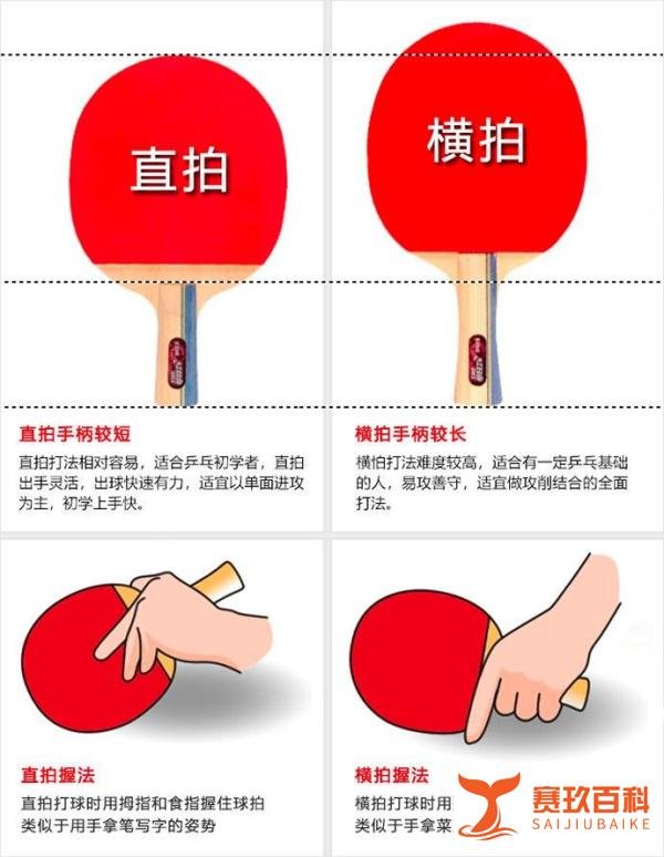 2025乒乓球拍推荐「乒乓球拍怎么选」新手入门乒乓球拍 | DIY/成品拍推荐
