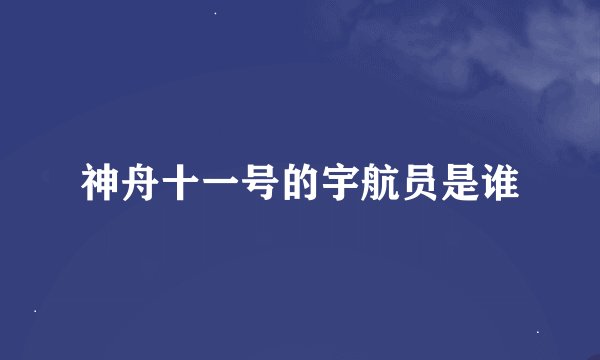 神舟十一号的宇航员是谁