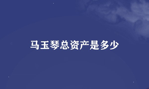 马玉琴总资产是多少