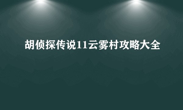 胡侦探传说11云雾村攻略大全