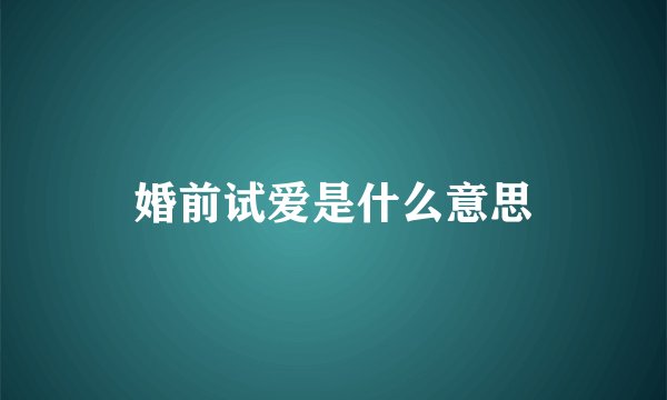 婚前试爱是什么意思