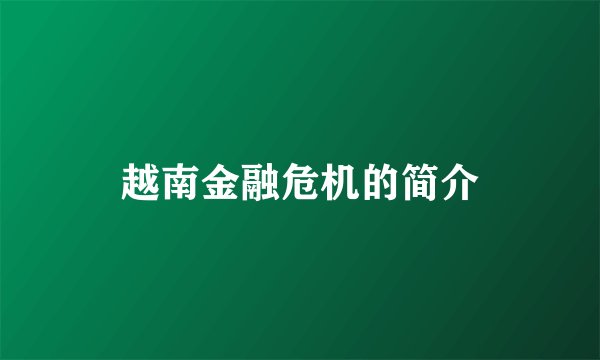 越南金融危机的简介