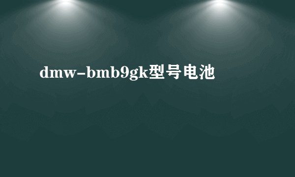 dmw-bmb9gk型号电池