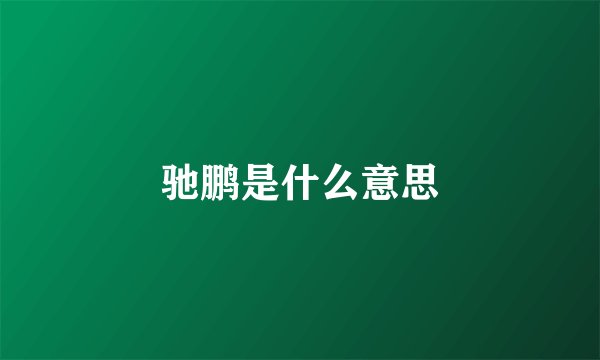 驰鹏是什么意思
