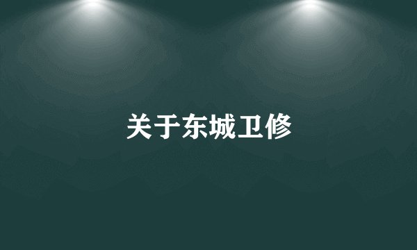 关于东城卫修