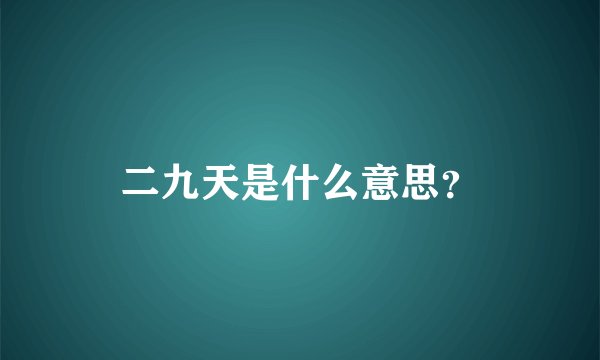 二九天是什么意思？