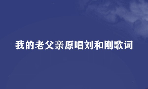 我的老父亲原唱刘和刚歌词