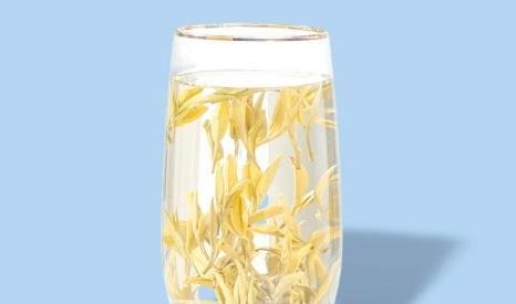 邮政直播间销售的黄芽汤真有用吗？真能减肥吗？