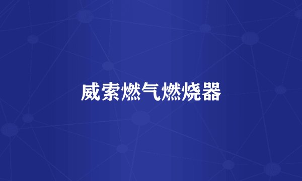 威索燃气燃烧器