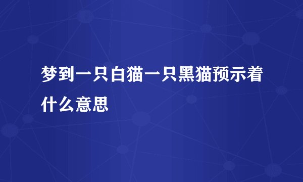 梦到一只白猫一只黑猫预示着什么意思