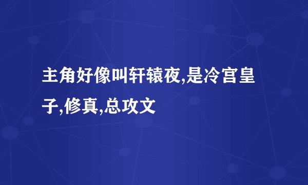 主角好像叫轩辕夜,是冷宫皇子,修真,总攻文