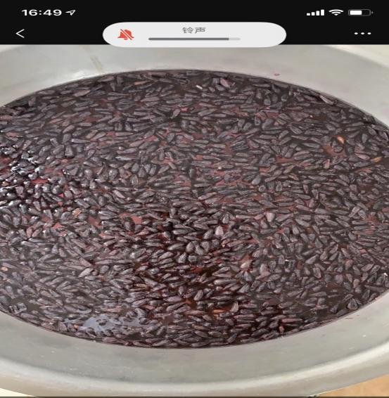 入秋