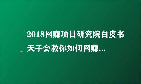 「2018网赚项目研究院白皮书」天子会教你如何网赚的方法网赚技术