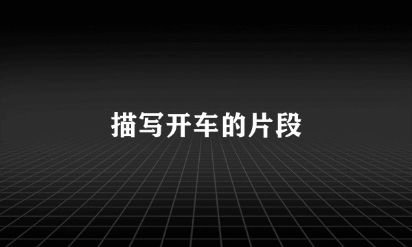 描写开车的片段