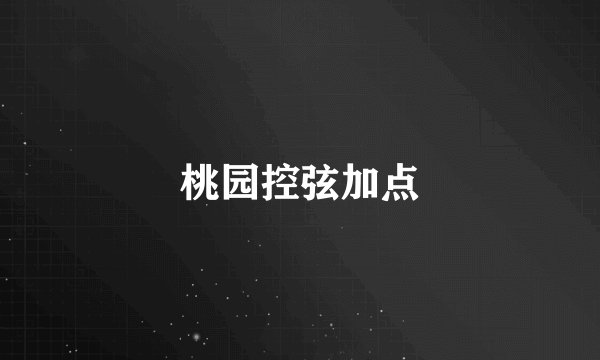 桃园控弦加点