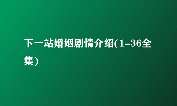 下一站婚姻剧情介绍(1-36全集)