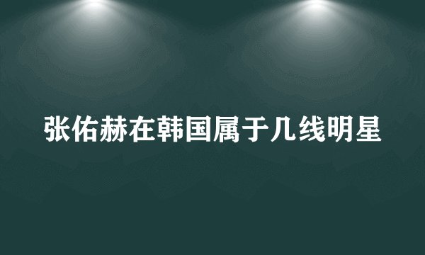 张佑赫在韩国属于几线明星