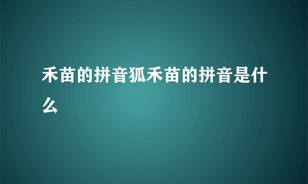 禾苗的拼音狐禾苗的拼音是什么