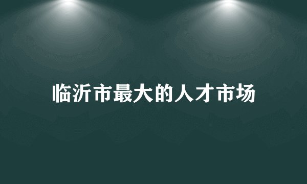 临沂市最大的人才市场