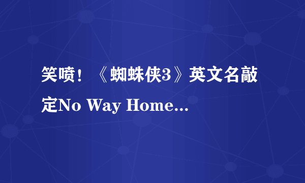 笑喷！《蜘蛛侠3》英文名敲定No Way Home，网友神翻译——英雄没家？就地过年？