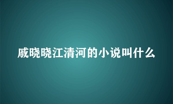 戚晓晓江清河的小说叫什么