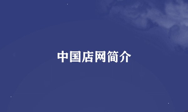 中国店网简介